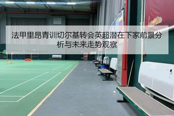 法甲里昂青训切尔基转会英超潜在下家前景分析与未来走势观察