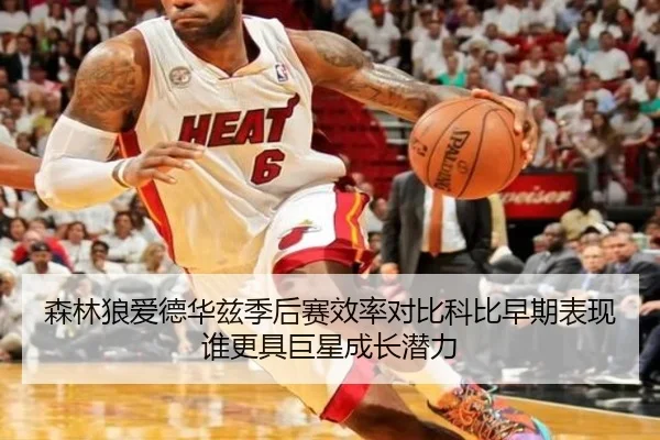 森林狼爱德华兹季后赛效率对比科比早期表现谁更具巨星成长潜力 - kaiyun